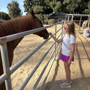 Fundraising Page: Hannah Pippert
